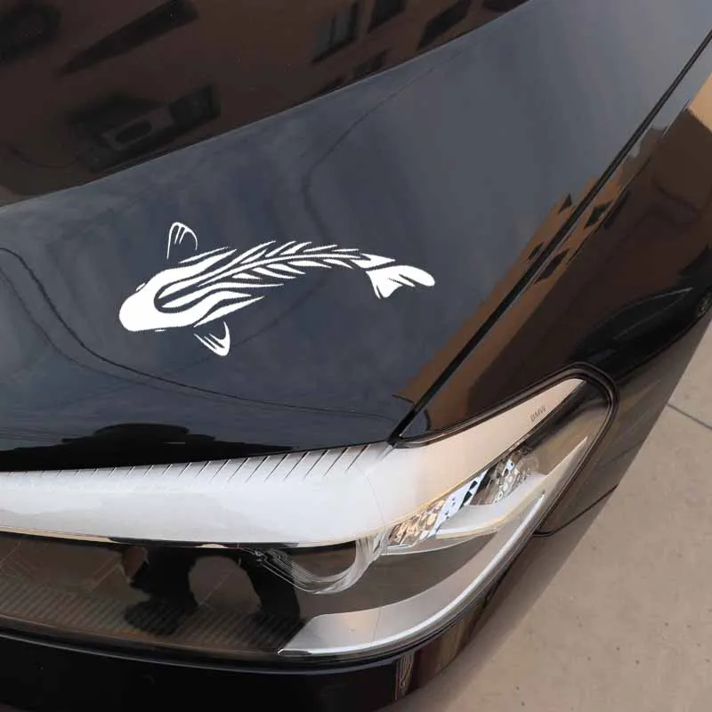 Adesivos de carro divertidos t - Car Accessories Nz avaliação e preço